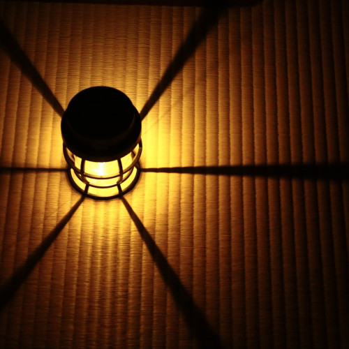 nekotaka photo 2